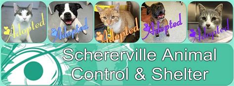 Animal control schererville indiana - The animal owner shall be liable for any cost incurred for removal of the animal. (Ord. No. 1549, § 8, 1-23-02) Disclaimer: This Code of Ordinances and/or any other documents that appear on this site may not reflect the most current legislation adopted by the Municipality.
